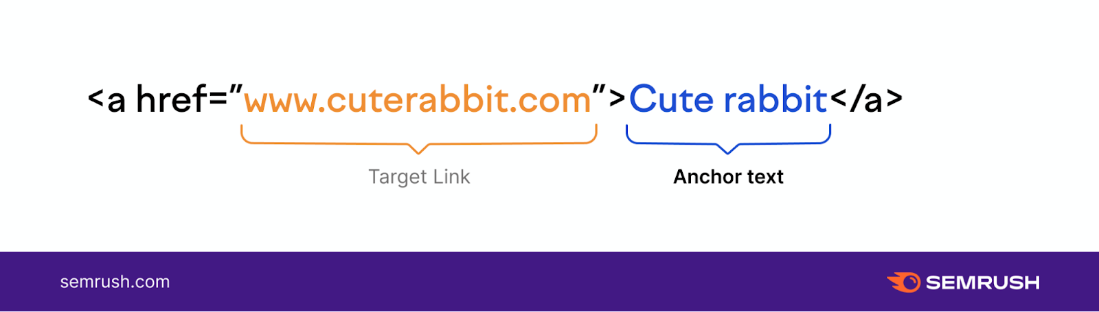 target link and 锚文本 example