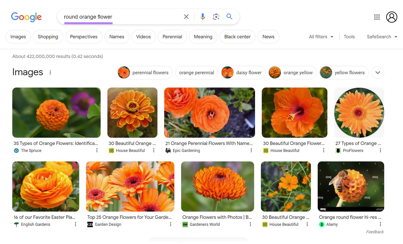 Images results for