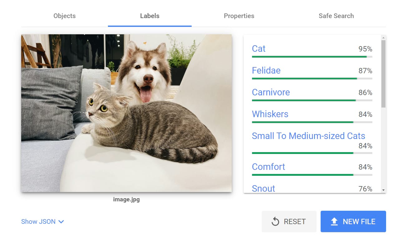 谷歌云的视觉AI results for an uploaded image of a dog and a cat