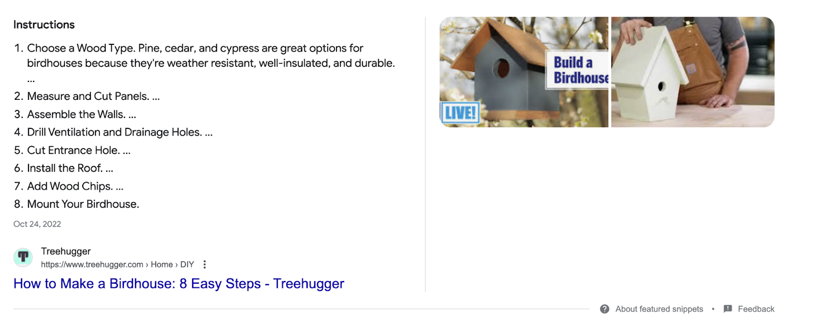 search for how to build a birdhouse shows list of steps in 精选片段