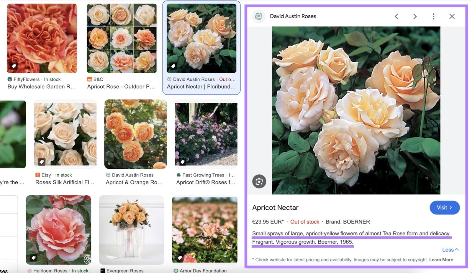expanded google image result of a rose shows the 元描述