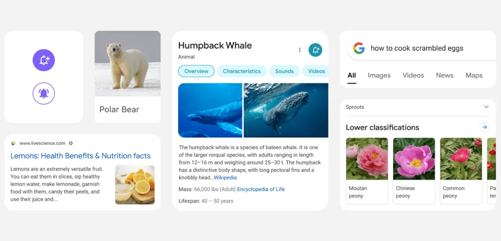 谷歌’s 2021 流动电话 SERP redesign