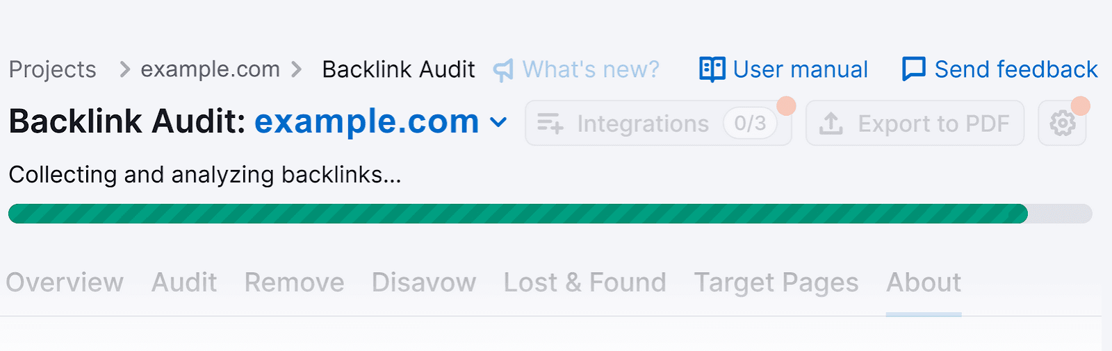 反向审计 tool generating report status