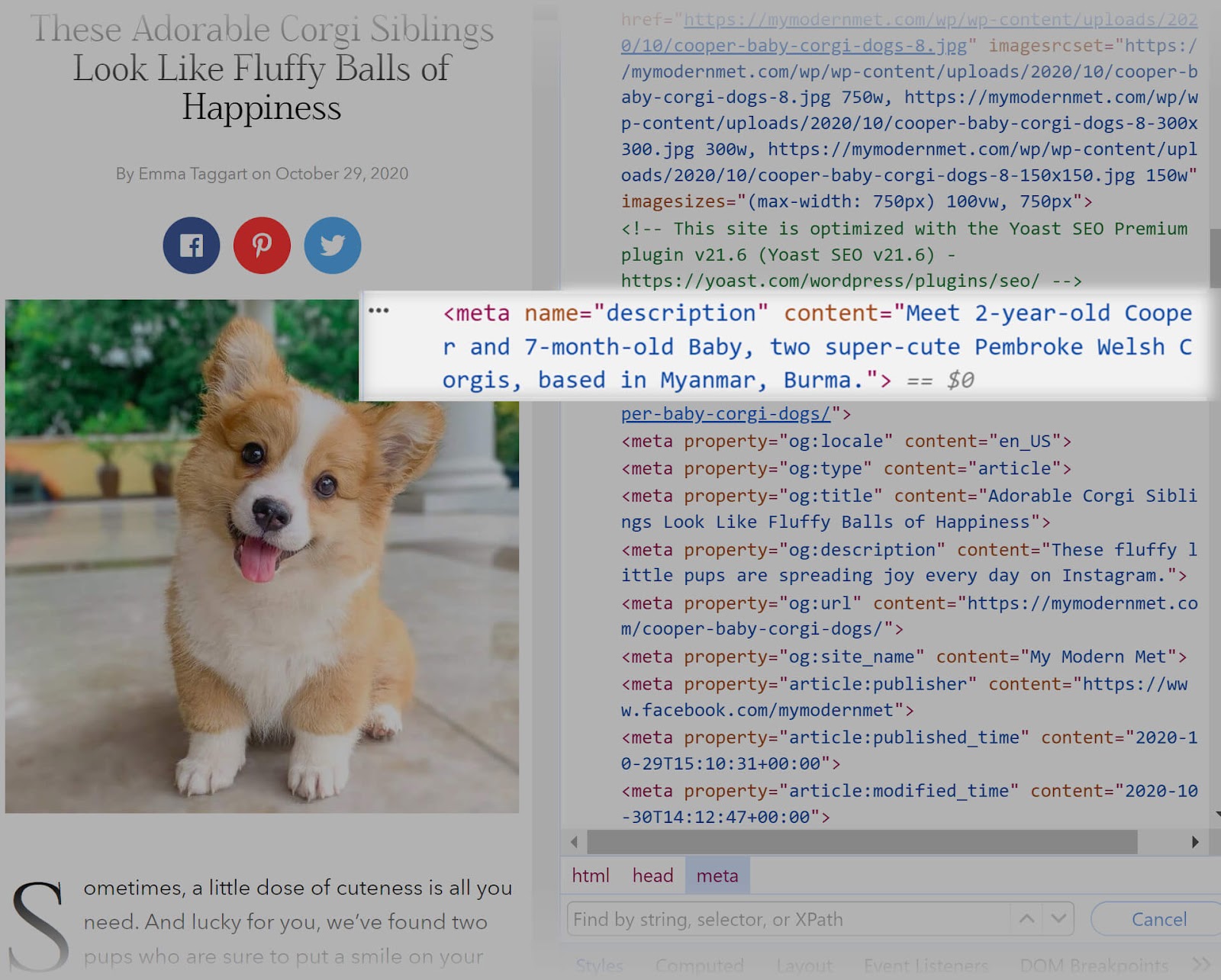 A 元描述 in page's HTML