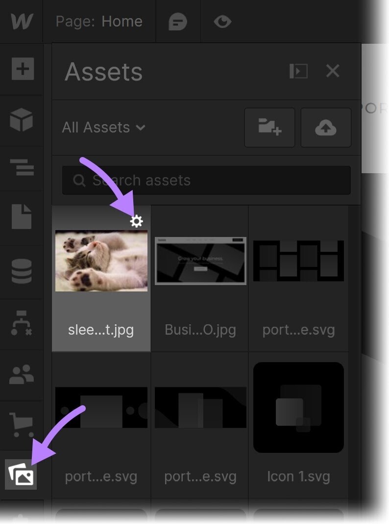 “Assets” icon和an image of a cat highlighted under 
