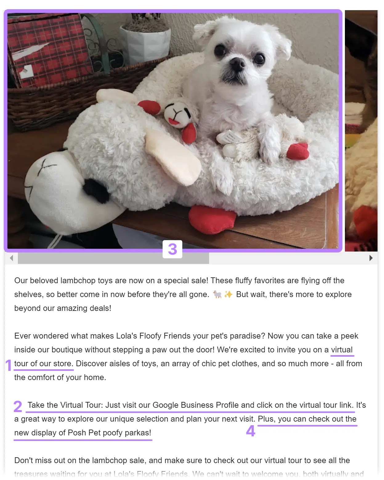 谷歌业务简介 post including visuals, CTA, and regular updates