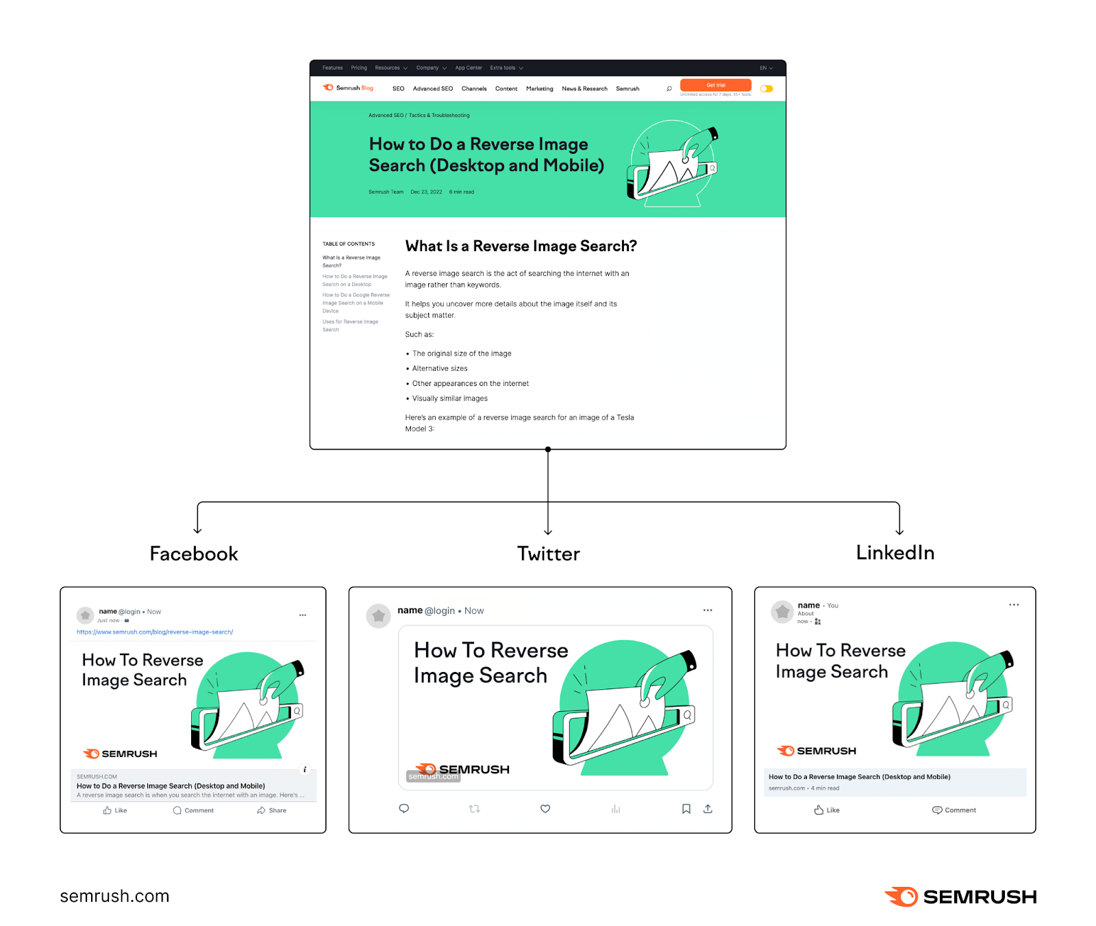 An infographic showing an 文章 from Semrush on top, and how it would look like when shared on Face书, Twitter and 领英