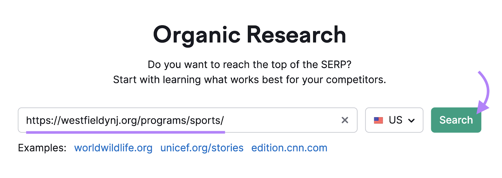 domain for local sports program entered into organic research工具