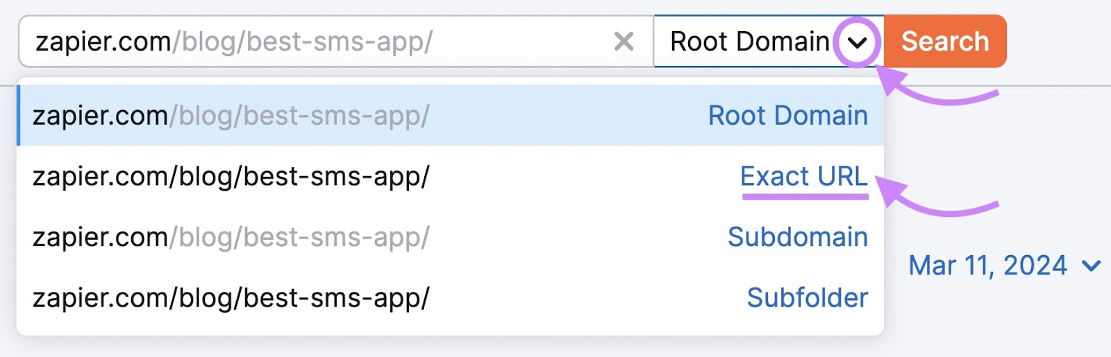 搜索 bar in 域名概述 tool showing option to filter for 确切的URL.
