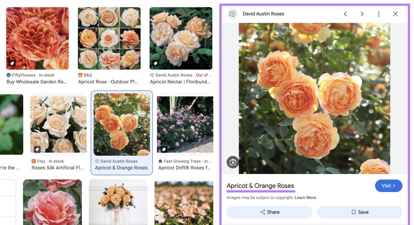 expanded google image result of a rose shows the 标题标签