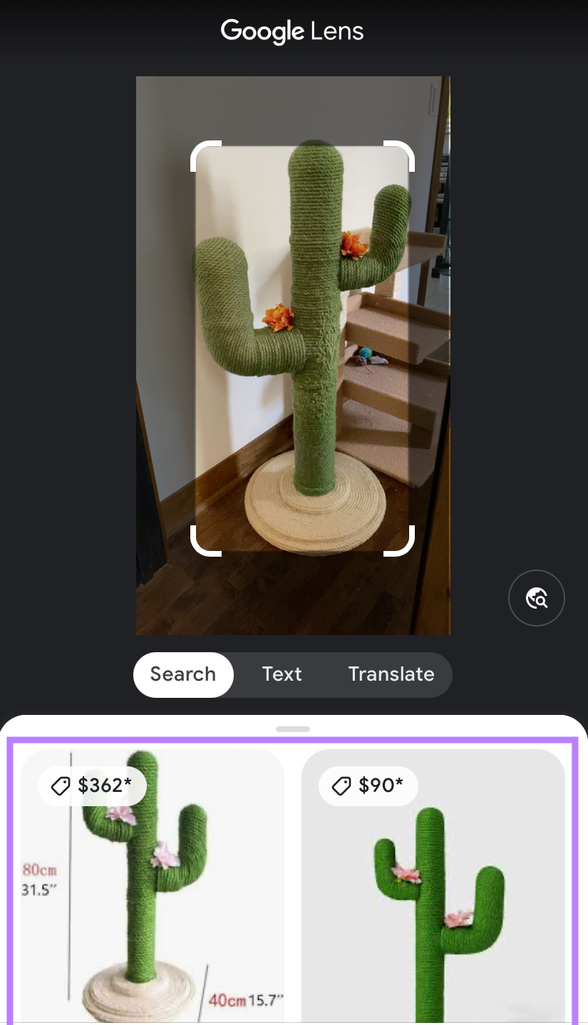Performing an image 搜索 using the Google app on an iOS device