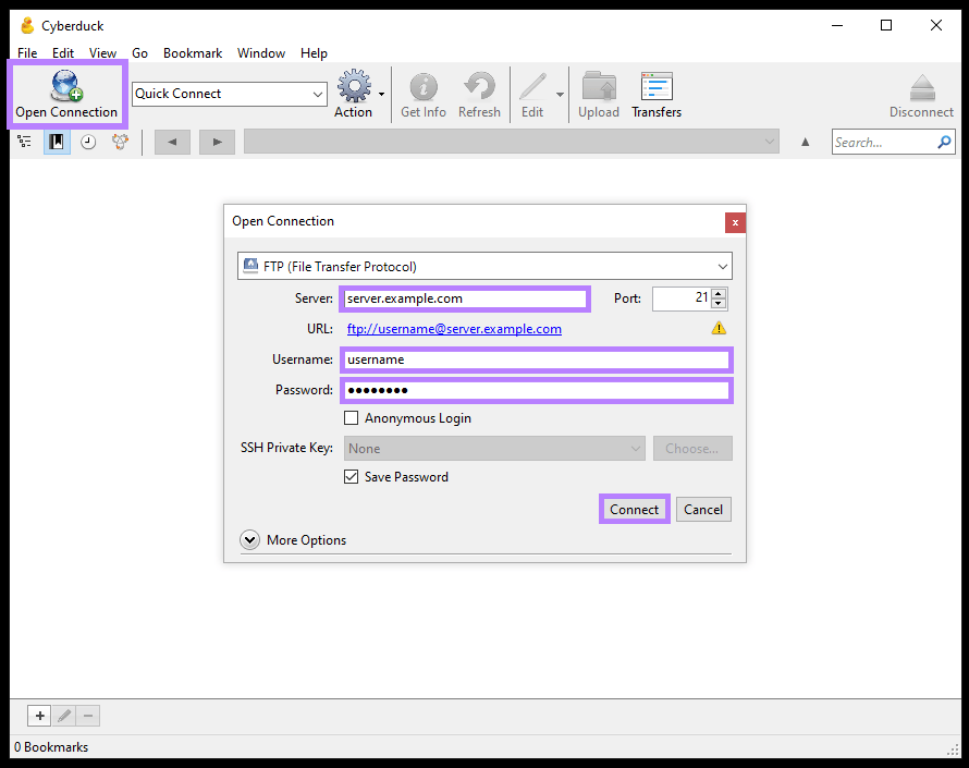 数码教育 FTP client interface showing ability to open a connection to a website's files and an area to input login credentials.