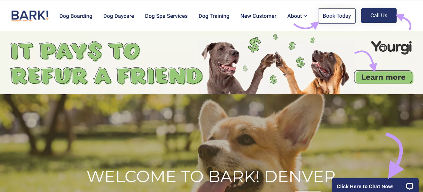 BARK! homepage with