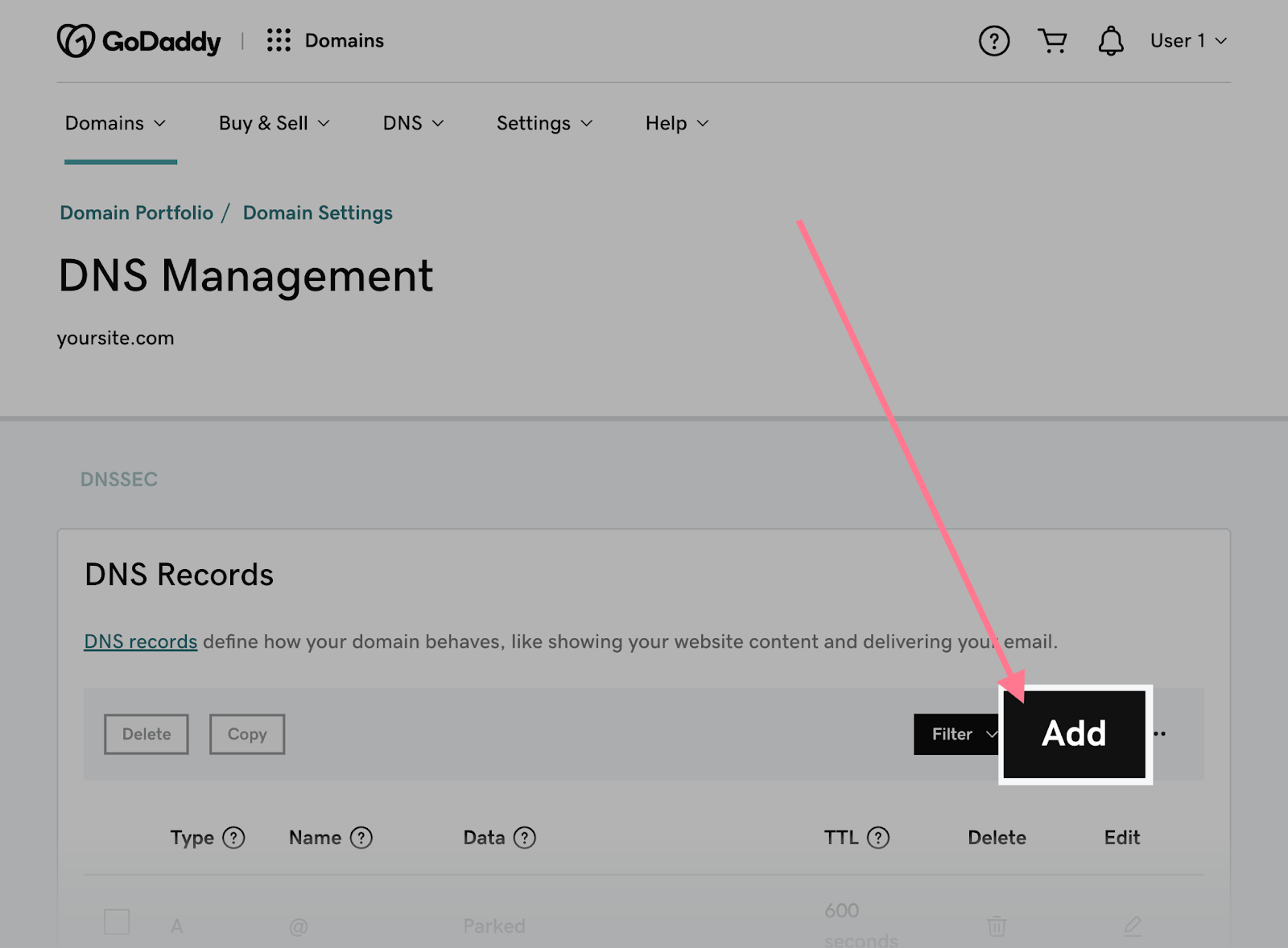 DNS(DNS) Management window
