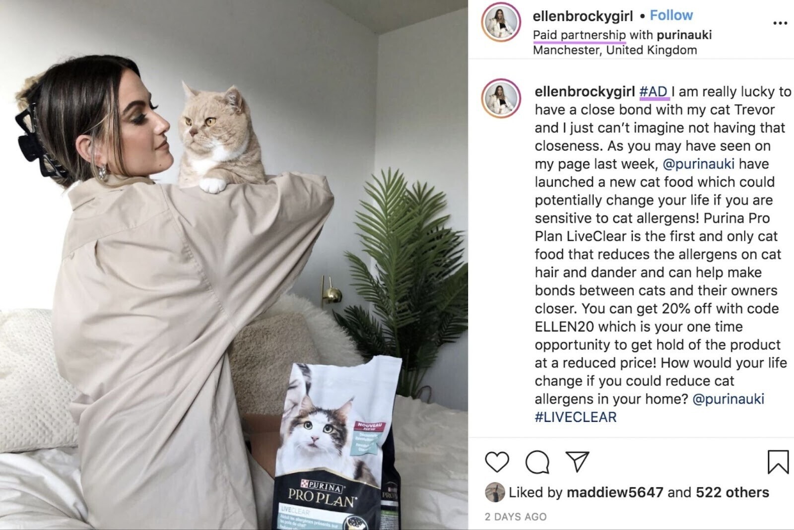 an example of an influencer partnership between an influencer 