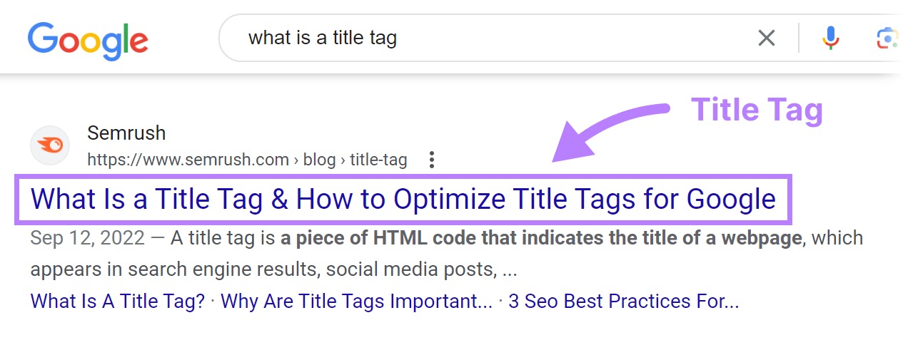 An example of a page title on Google SERP的
