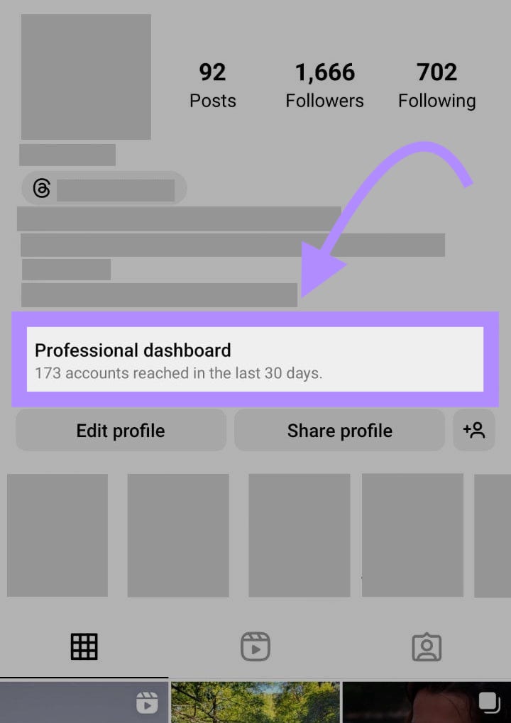 “专业仪表板” highlighted under Instagram bio