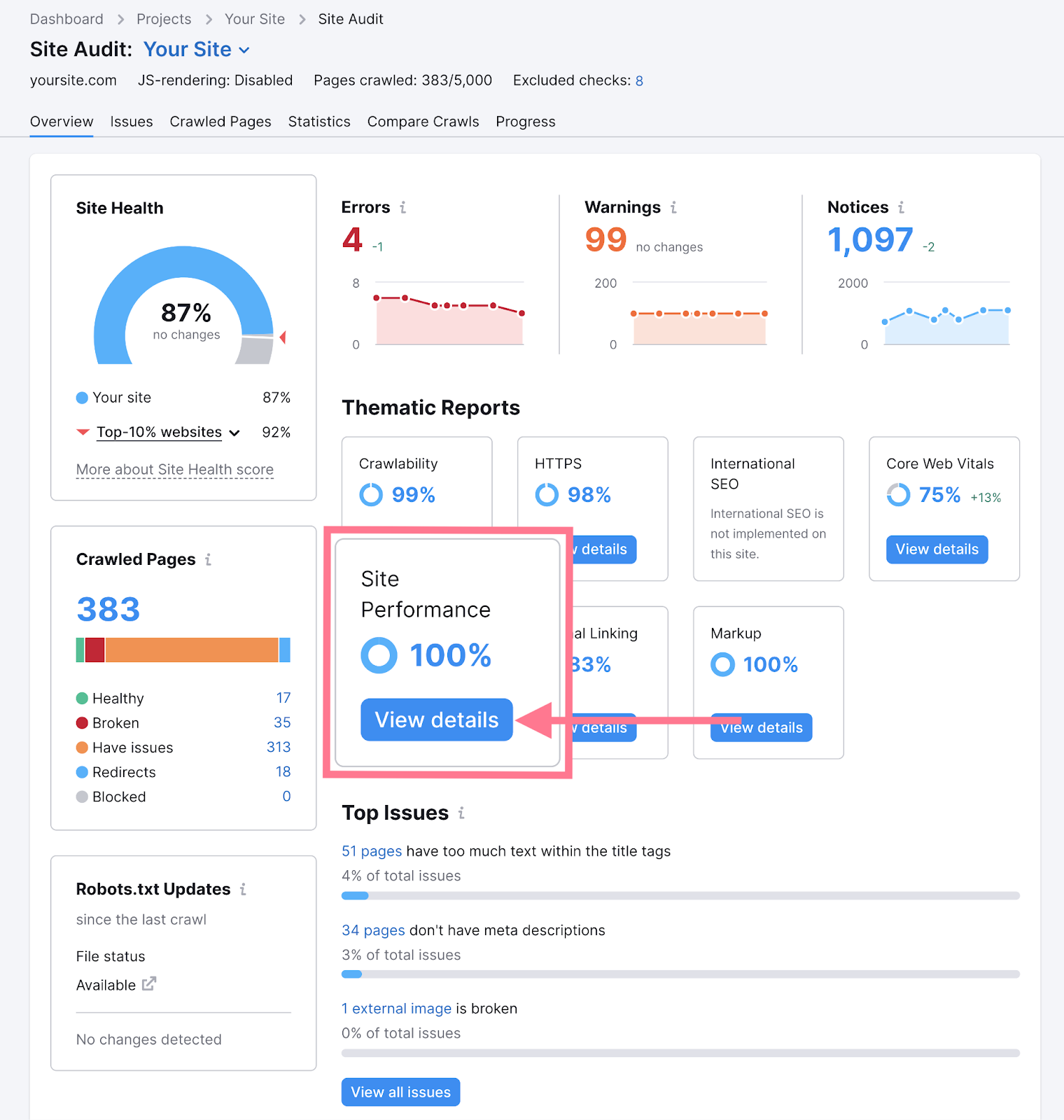 “Site Performance” section highlighted in the Site 审计
