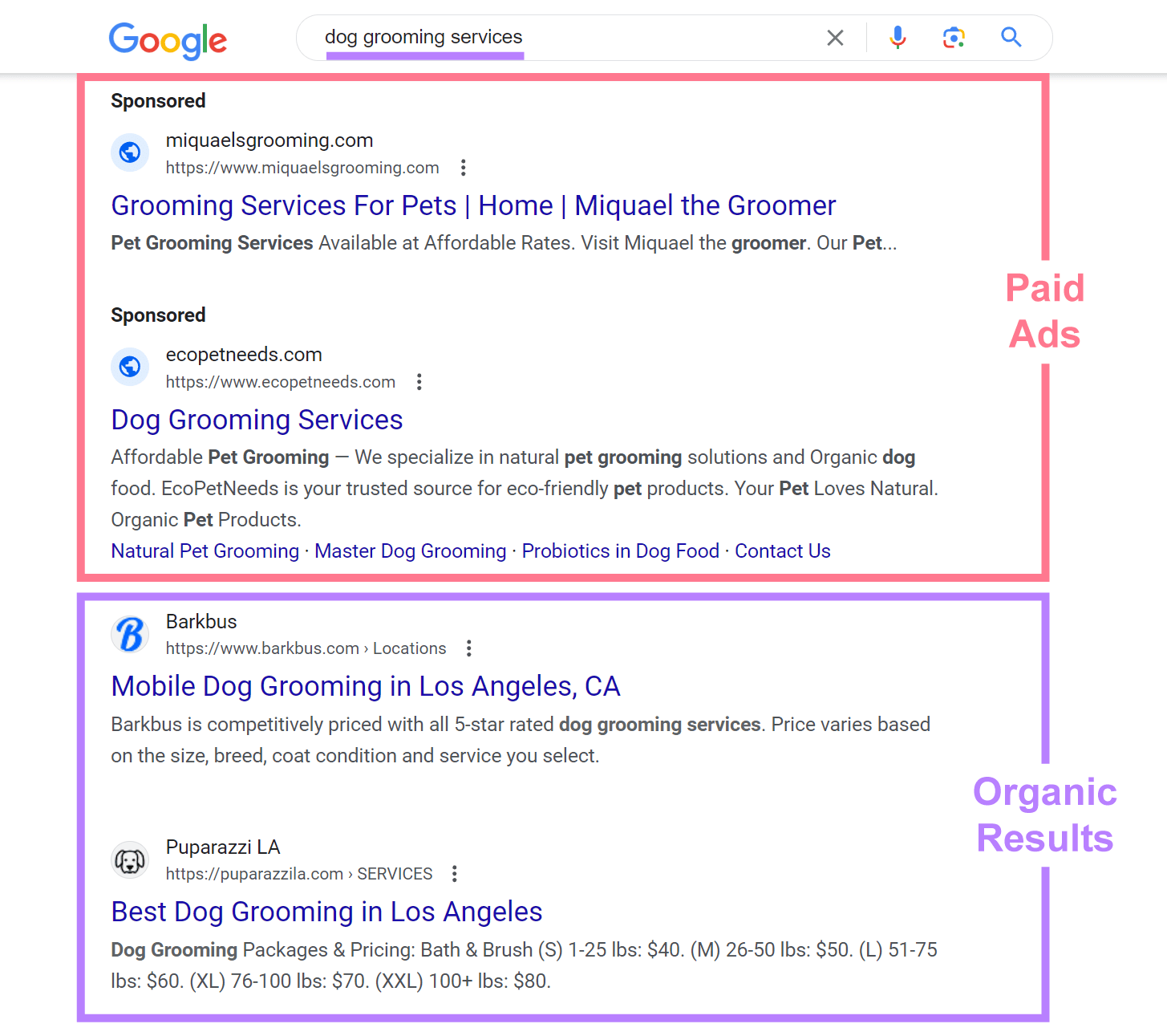 Paid ads and organic results on Google SERP for