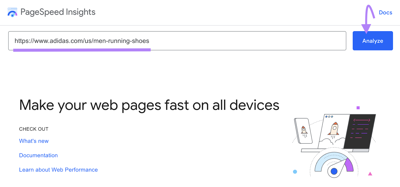Enter the URL in PageSpeed洞察 tool