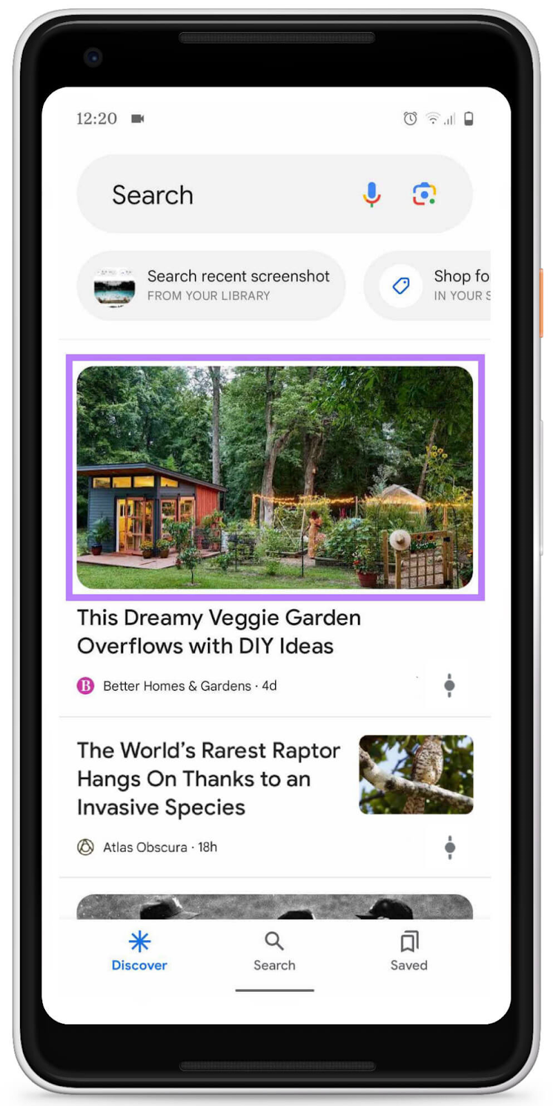 an example of a thumbnail showing a garden in 谷歌发现for