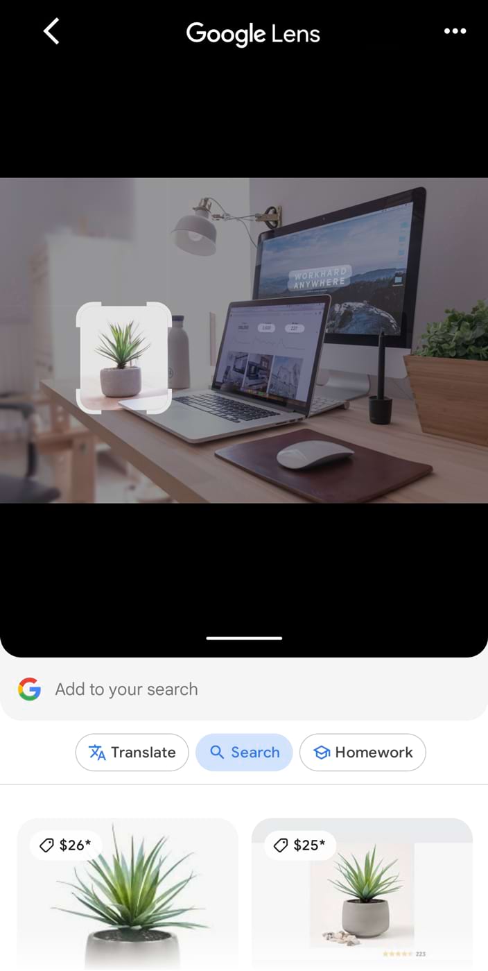 An image of a work desk uploaded to the 谷歌镜头 with plant on the desk isolated, showing results for the plant below
