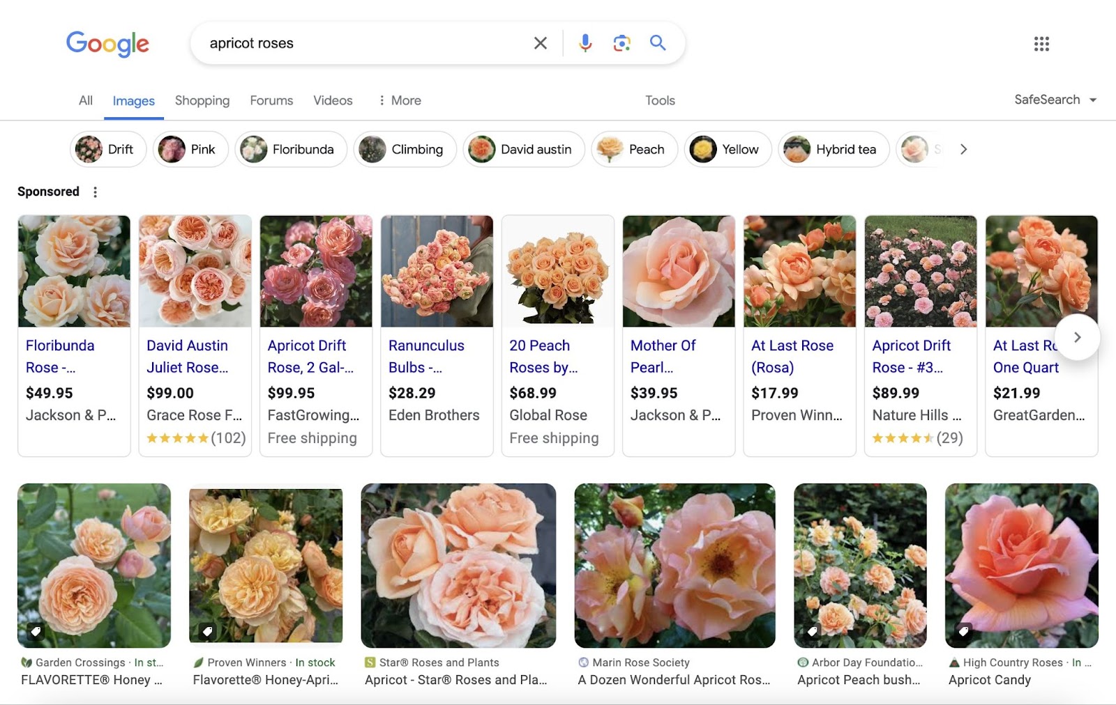 google image results for 