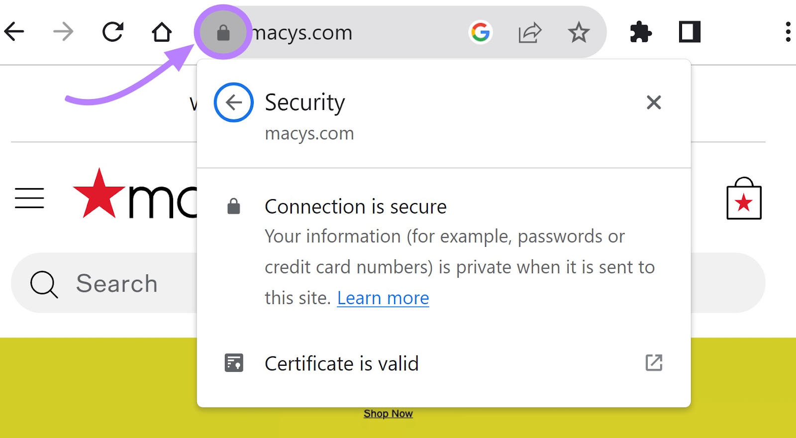 an example of a padlock beside the URL