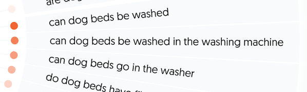 A section about washing dog beds from 公开回答